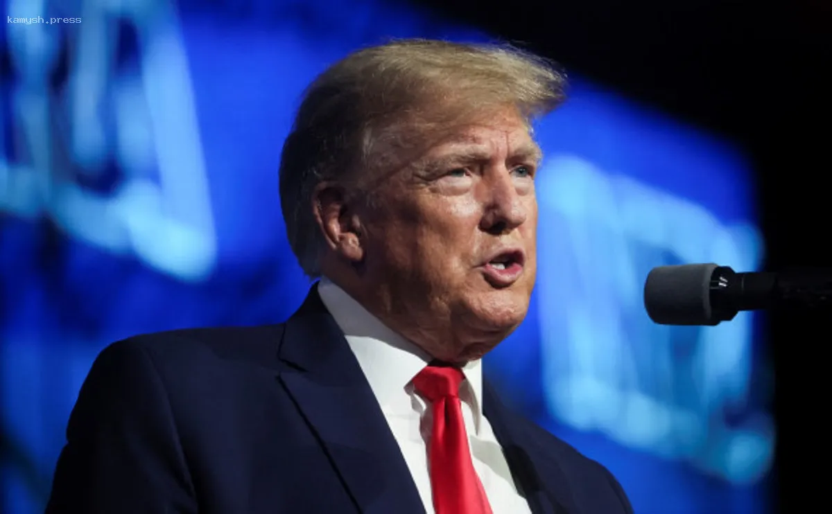 В Госдуме прокомментировали мирный план Трампа