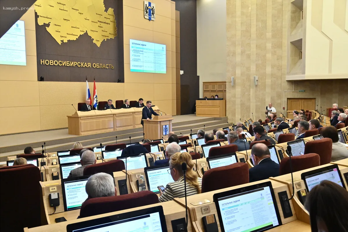 Депутаты Новосибирска одобрили изменения в региональный бюджет, предложенные правительством