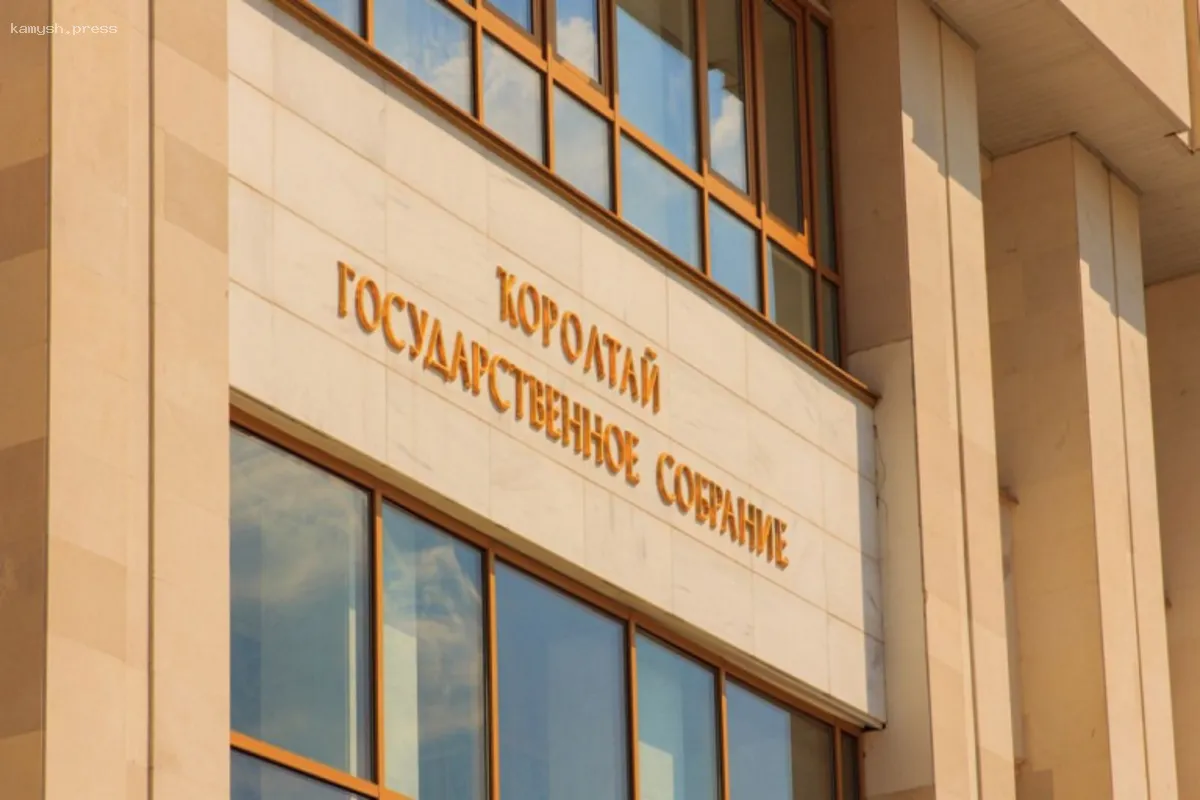 Депутаты Башкортостана предложили улучшить меры борьбы с киберпреступностью