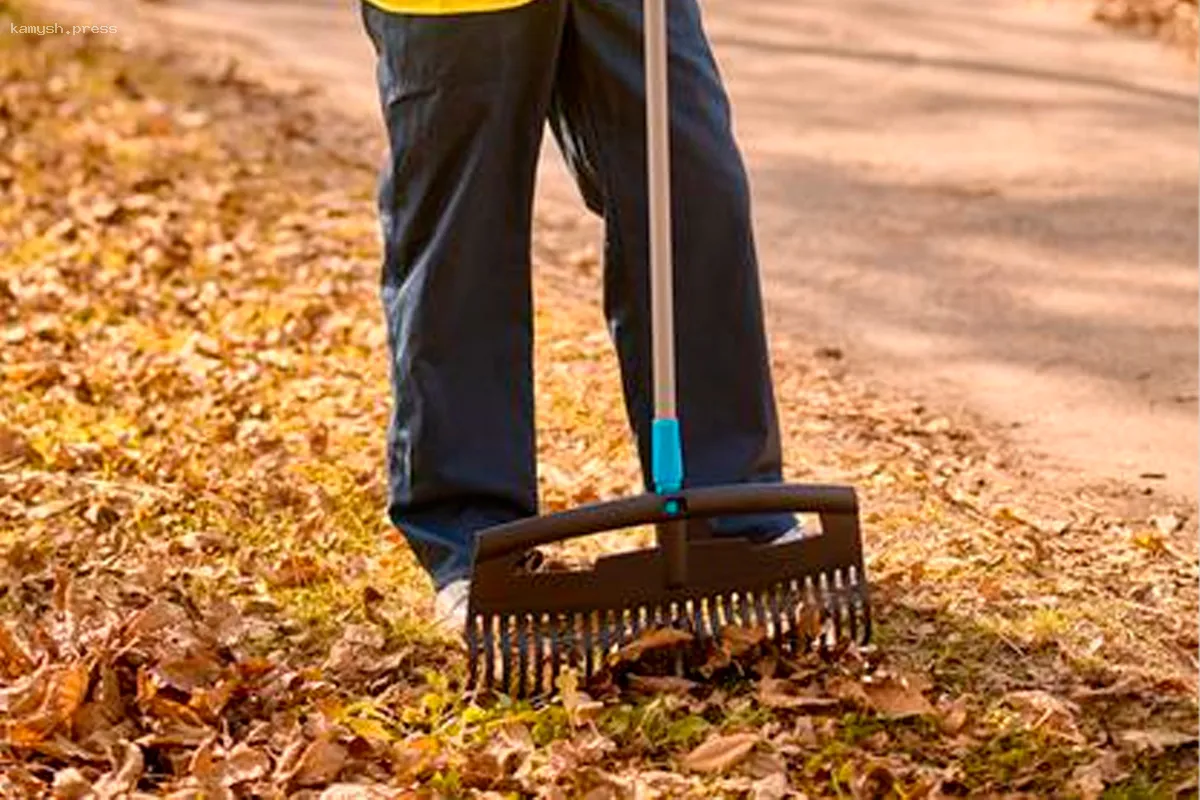 В Дальневосточном федеральном округе наблюдается нехватка дворников