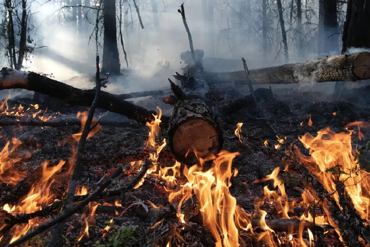 В Свердловской области стартовал сезон повышенной пожарной опасности