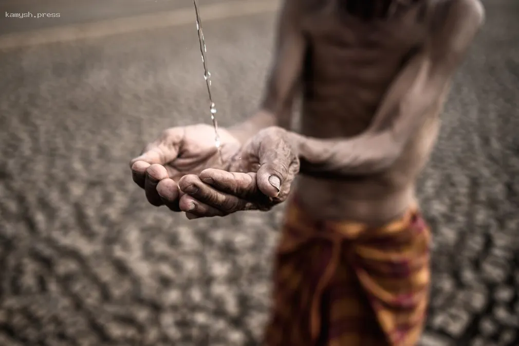 Роспотребнадзор опубликовал список стран с угрозой заражения лихорадкой чикунгунья