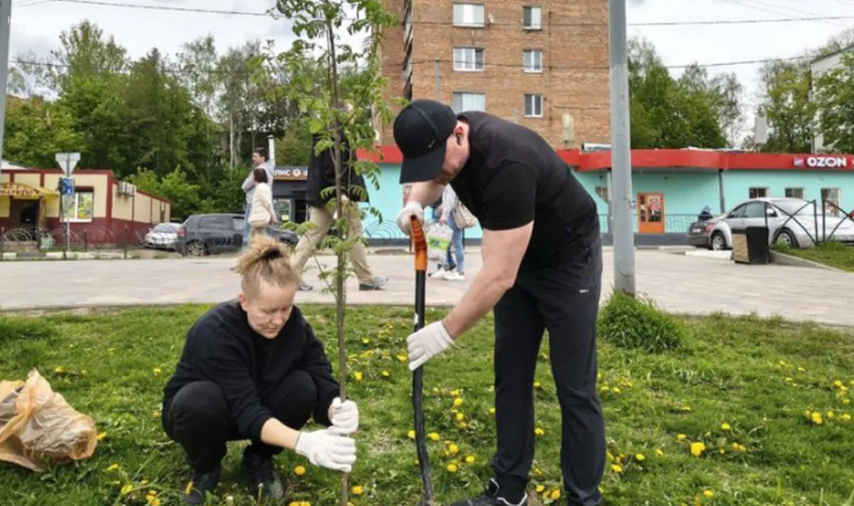 На набережной реки Серебрянки в Пушкинском районе высажены 16 деревьев и кустарников
