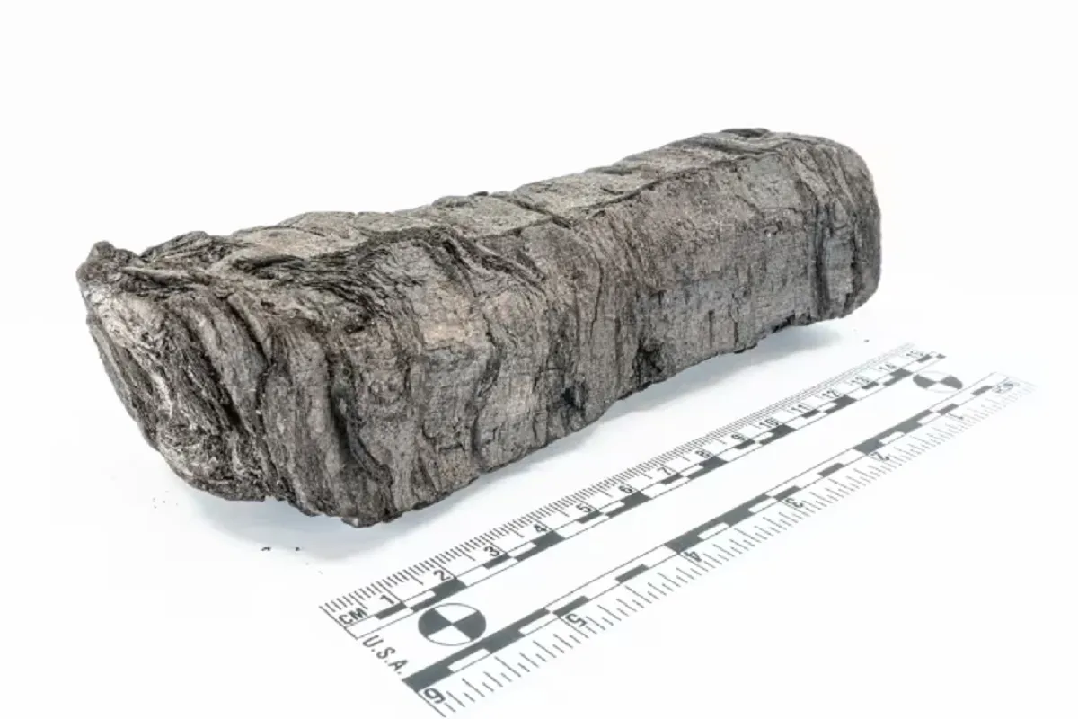 Исследователи разгадали текст древнего свитка, пережившего извержение Везувия 2000 лет назад