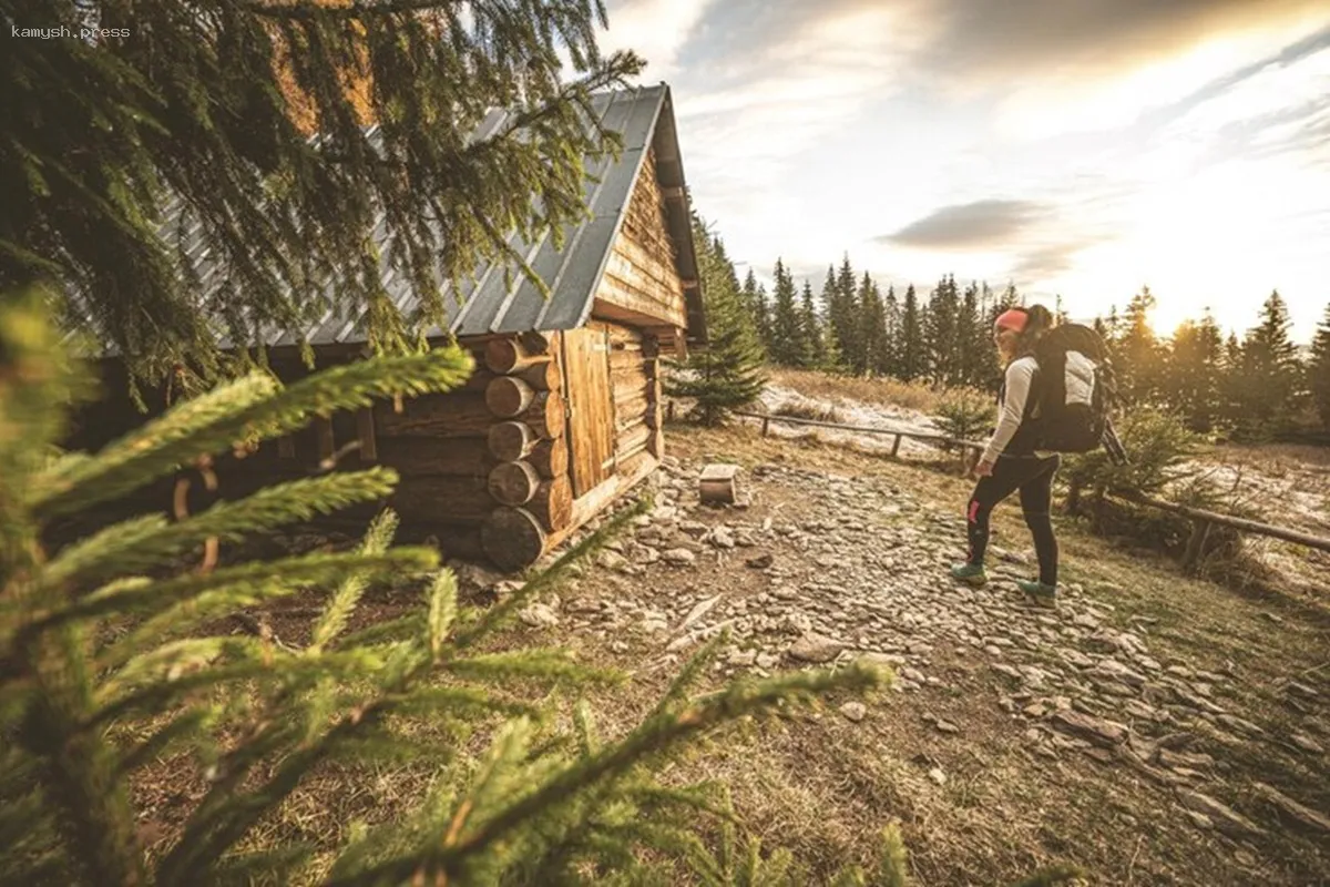 Охотничий туризм на Вологодчине: новые горизонты развития