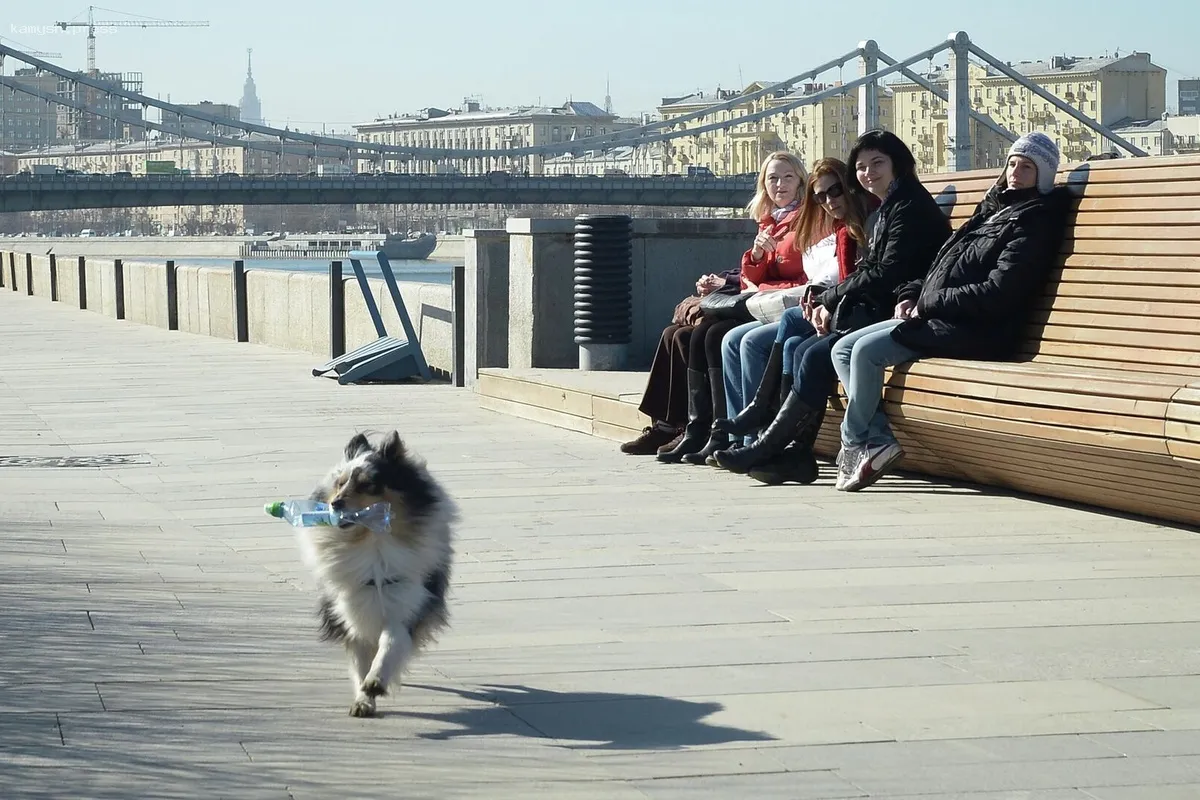 Метеорологи предупредили жителей Москвы о резком похолодании 24 апреля