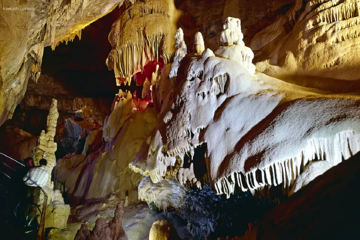 Ученые нашли доказательства миграции древних животных через Аравию