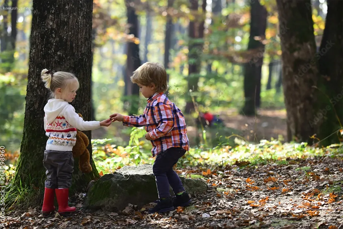 В Канаде приостановили поиски двух пропавших детей в лесу