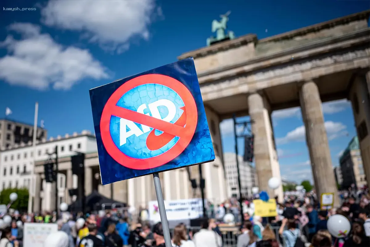 В Берлине проходит масштабный протест за ликвидацию партии «Альтернатива для Германии»