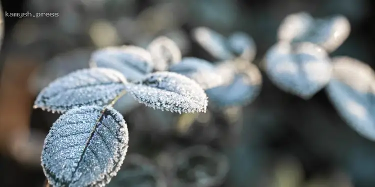 Заморозки охоплять більшість областей: Укргідрометцентр оголосив помаранчевий рівень небезпеки