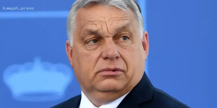 ЄС планує розпочати переговори з Україною після можливого програшу Орбана на виборах