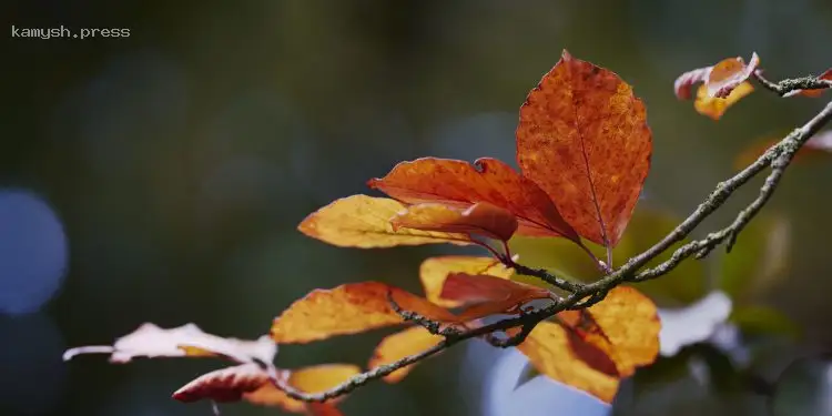 Контраст температур в Україні: прогнози погоди на вихідні 4-5 жовтня