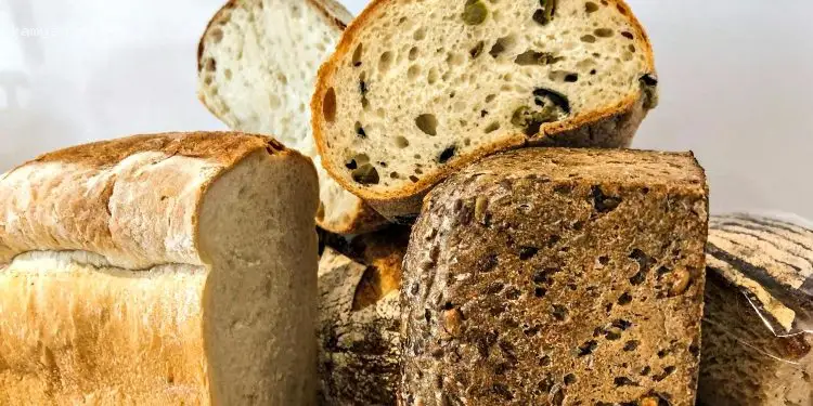 Эксперт спрогнозировал заметное подорожание хлеба в Украине (ВИДЕО)