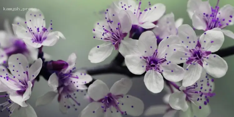 День ангела Софии и других: 22 мая — время покоя и запретов на труд и начинания