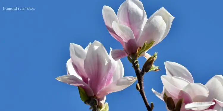 День ангела Марты и других 4 июня: почему сегодня не желательно купаться в водоемах