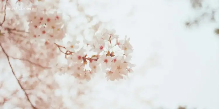 День ангела Юлианы 2 июня: почему сегодня нельзя стричь волосы