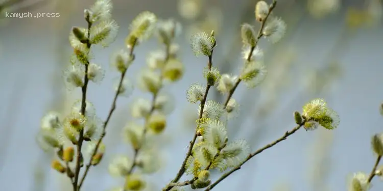 Именины Семена и других 17 апреля: традиции Чистого четверга